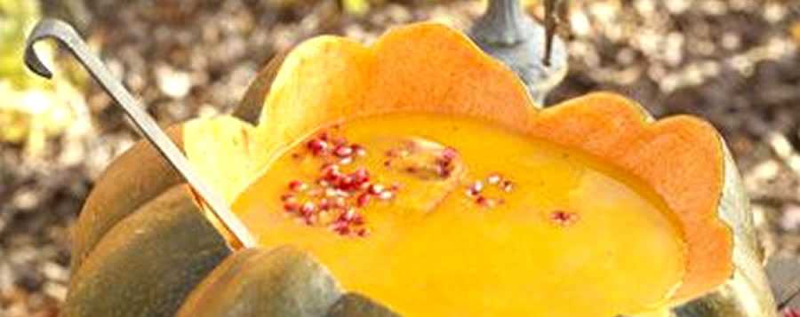 Crema de Calabaza