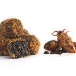 Croquetas de Calamar en su Tinta